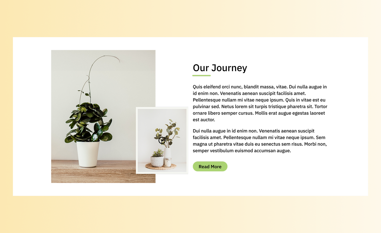 Our Story 7