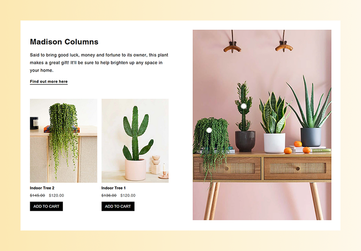 Shop the look