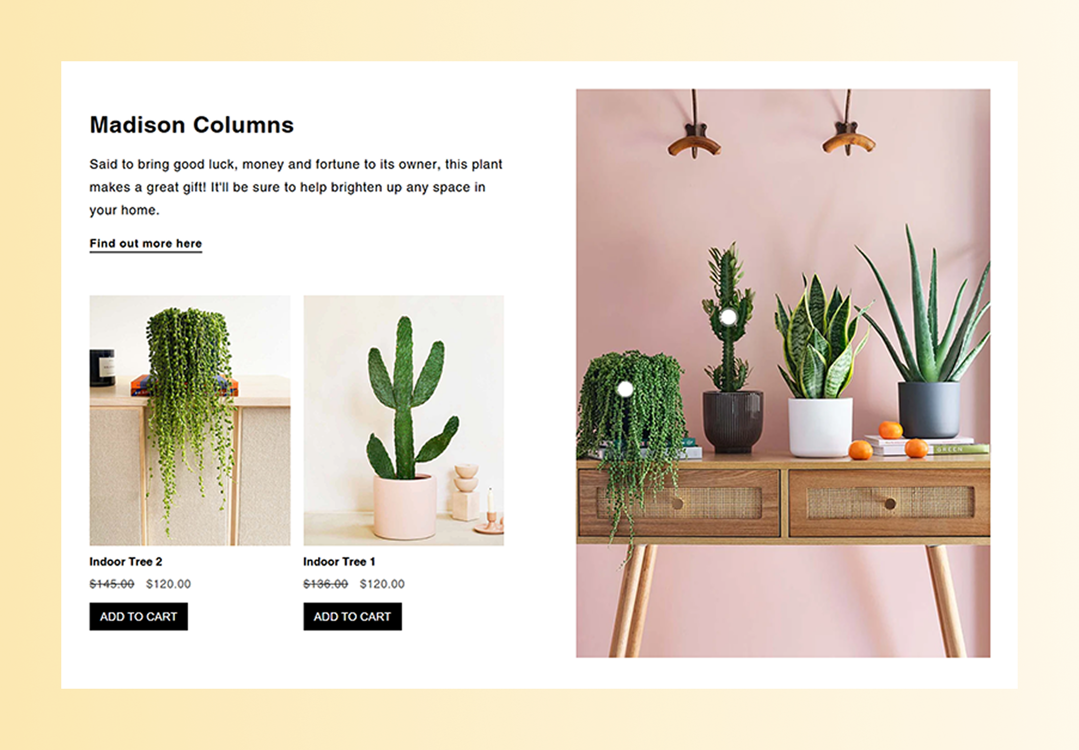 Shop the look 4