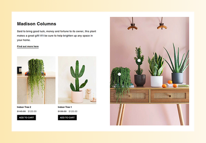 Shop the look 4